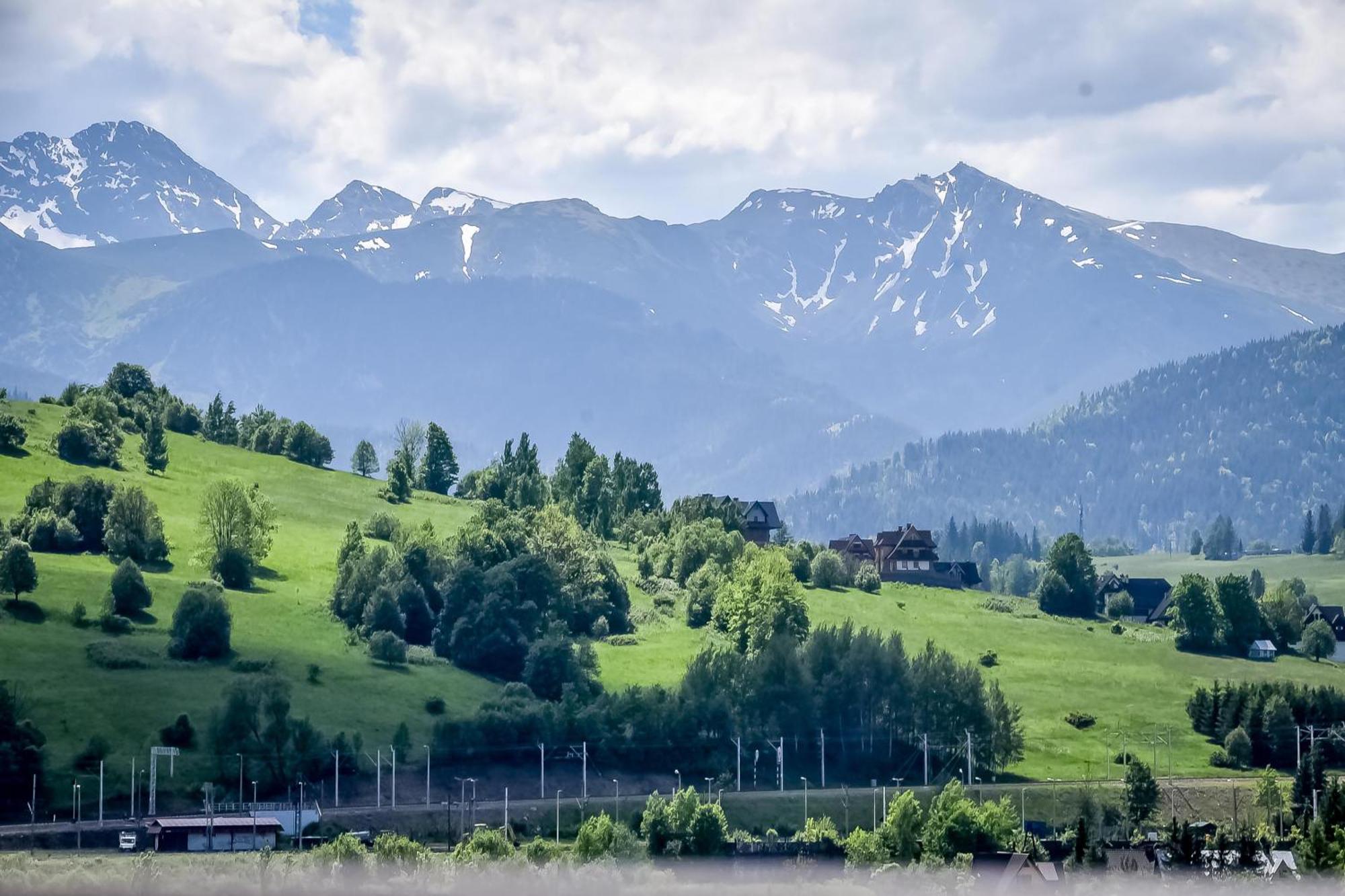 Willa U Zwijacza Zakopane Dış mekan fotoğraf